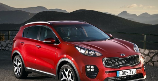 Expert Kia Support in Newton